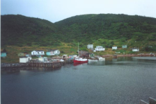 484: Red Island harbour. The government wharf, (circa 2000) [courtesy of Madonna (Bishop) Mulrooney]